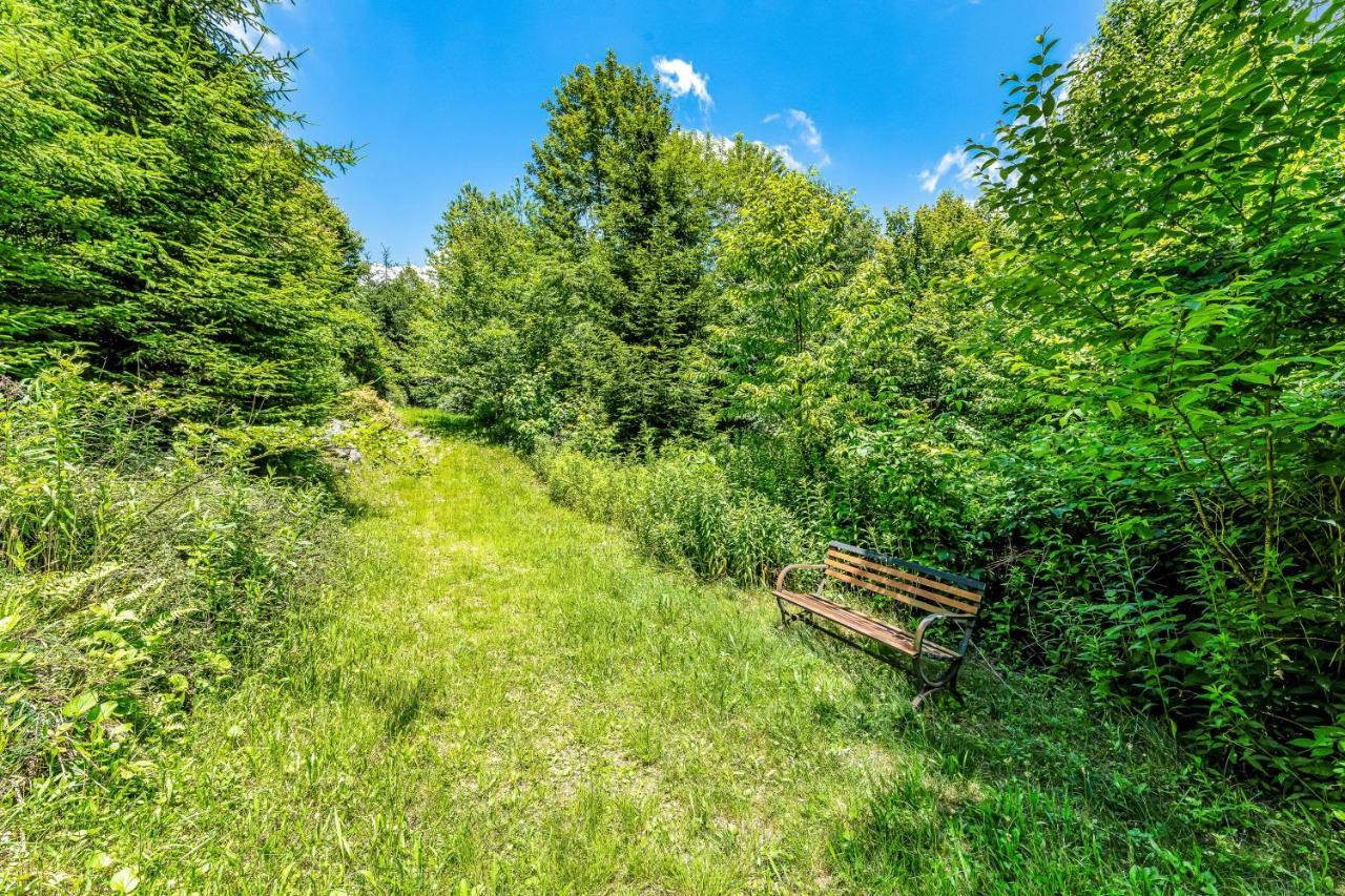 Апартаменти Skyleaf Retreat Шуґар-Маунтін Екстер'єр фото
